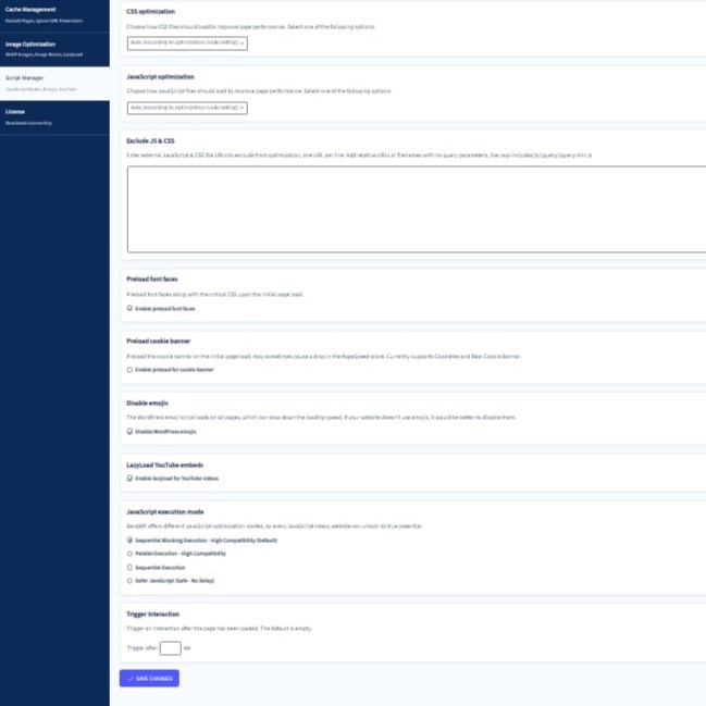 default berqwp script manager settings