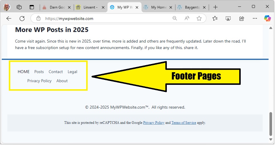 footer includes home and posts pages