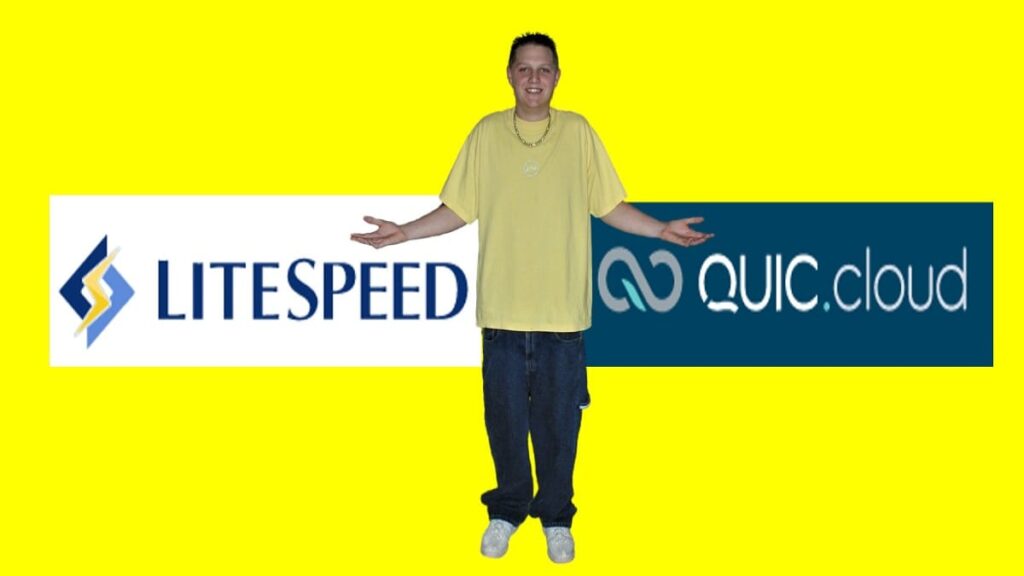 litespeed wordpress plugin