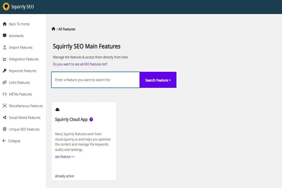 squirrly seo main features default settings