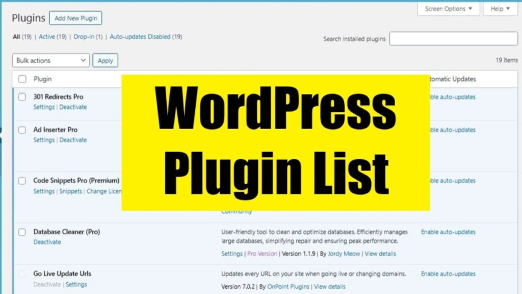 wp plugin list